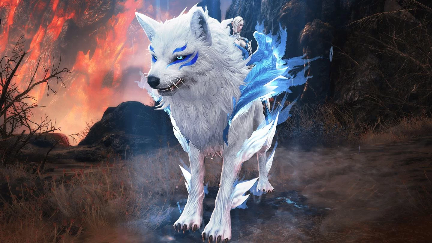 Изображение игры: TERA: Founder’s Pack Deluxe