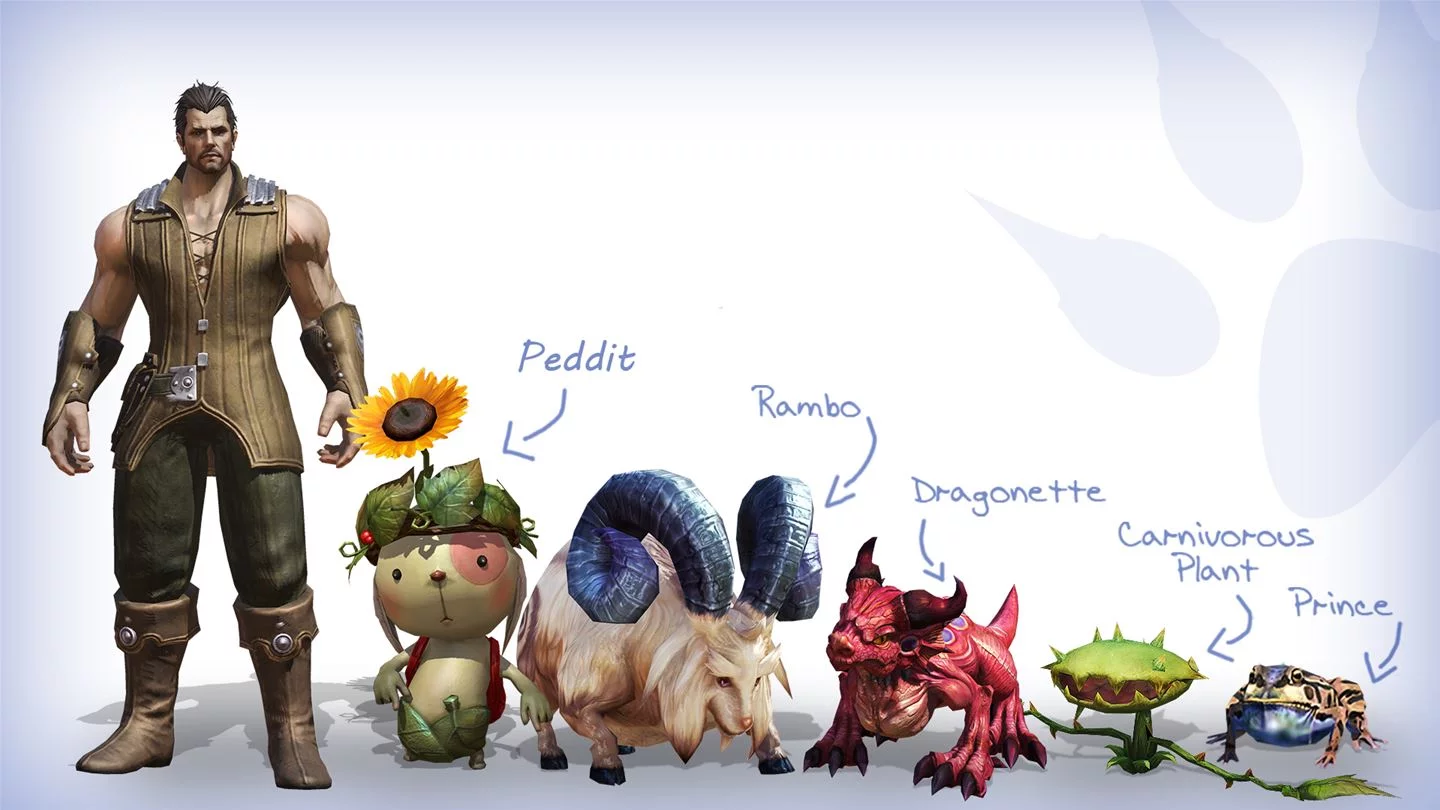 Изображение игры: TERA: Founder’s Pack Ultimate