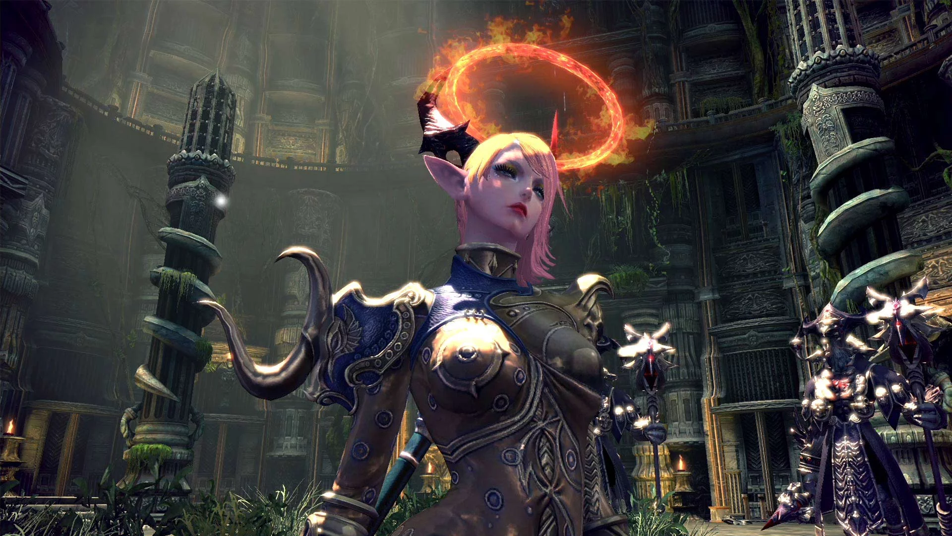 Изображение игры: TERA: Founder’s Pack Supreme