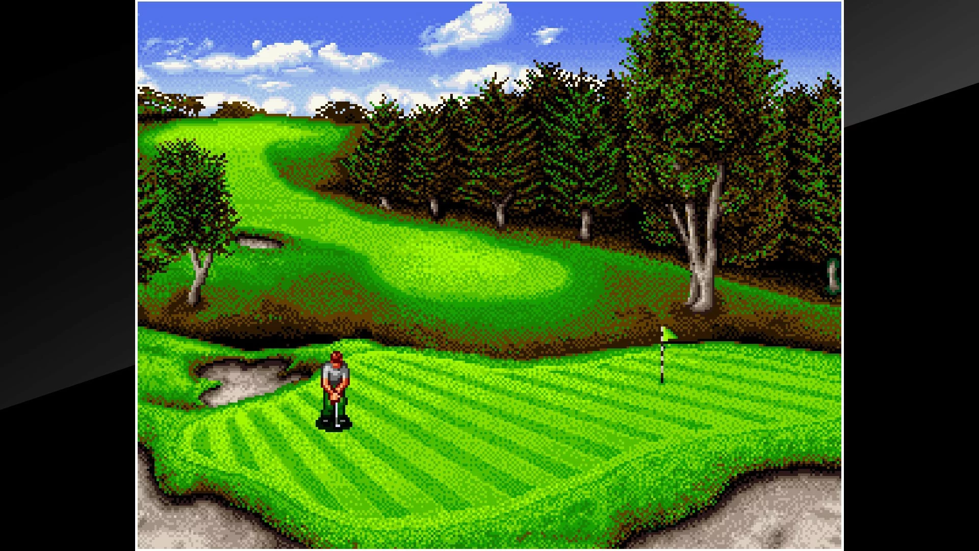 Изображение игры: ACA NEOGEO TOP PLAYER’S GOLF