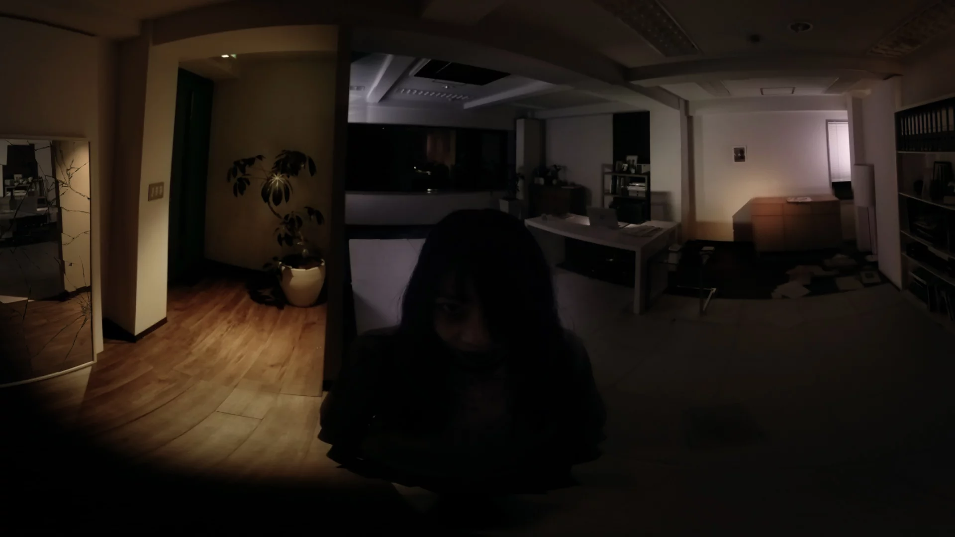 Изображение игры: RESTLESS SPIRIT