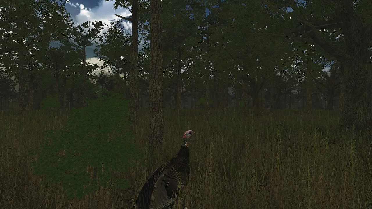 Изображение игры: Wild Turkey Hunter VR