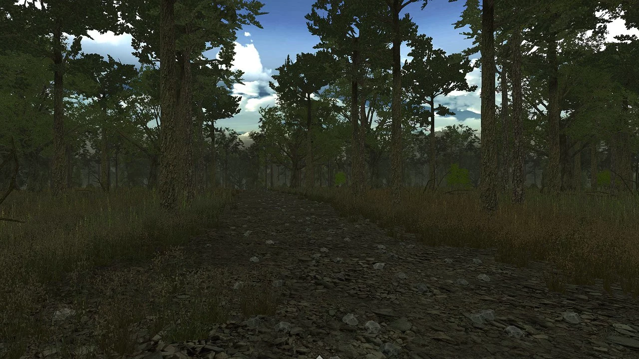 Изображение игры: Wild Turkey Hunter VR