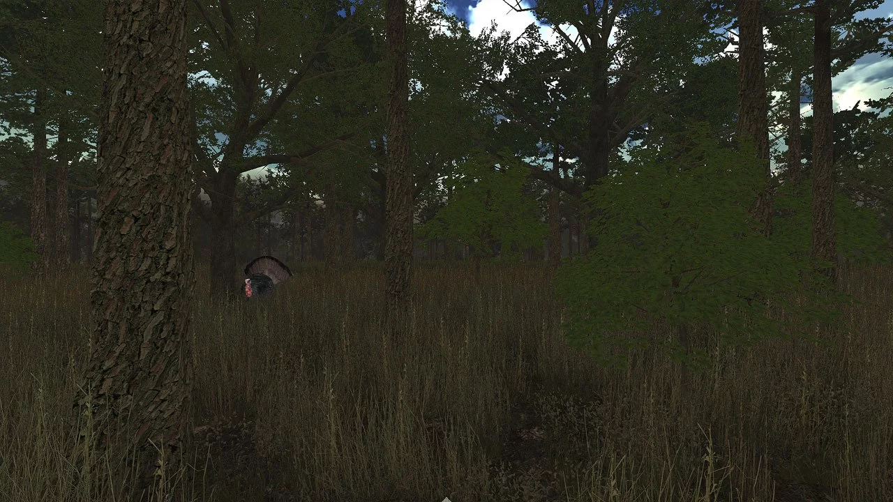 Изображение игры: Wild Turkey Hunter VR