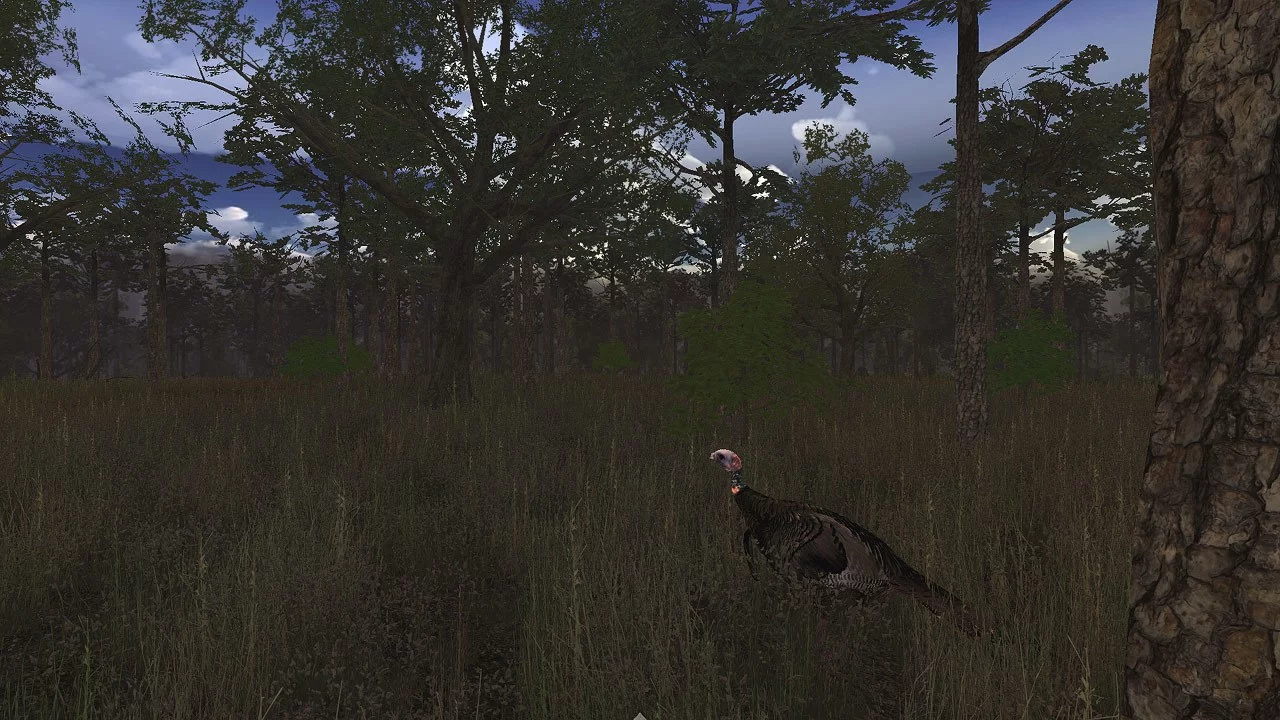 Изображение игры: Wild Turkey Hunter VR