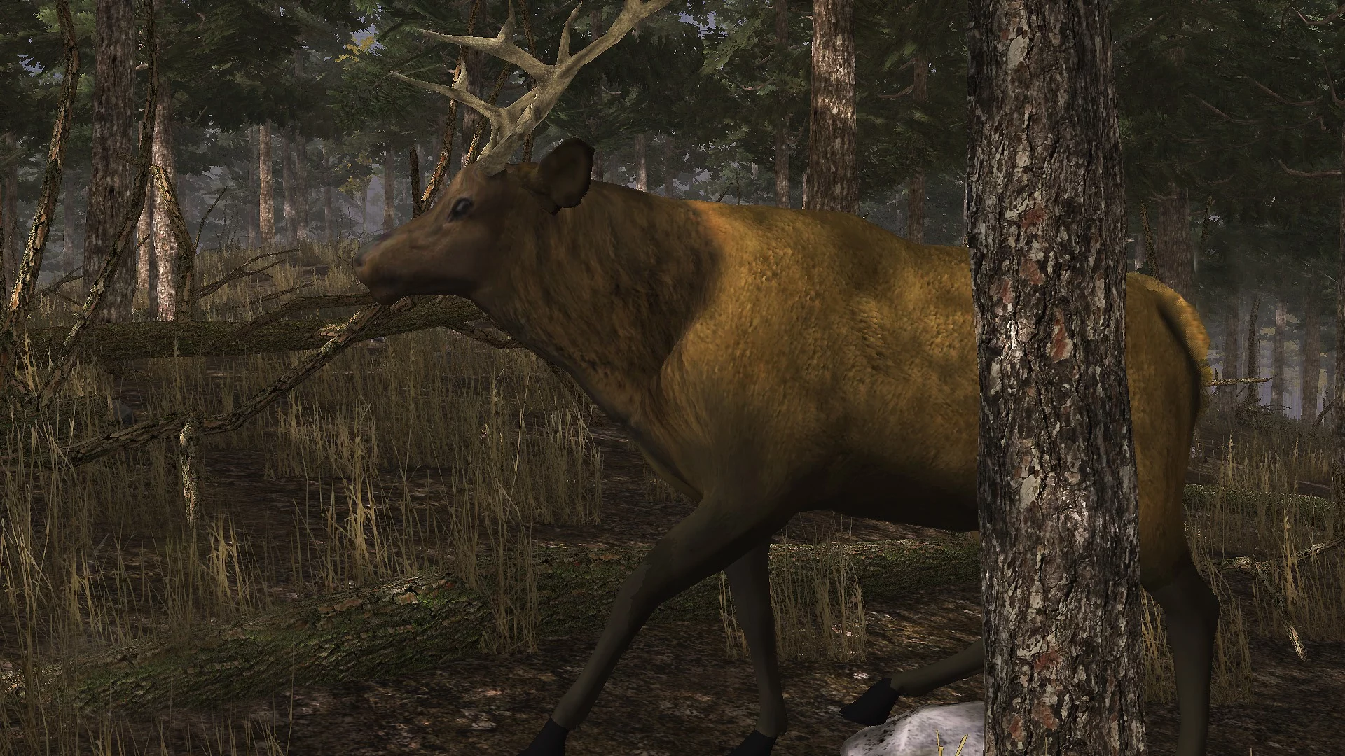 Изображение игры: Elk Simulator