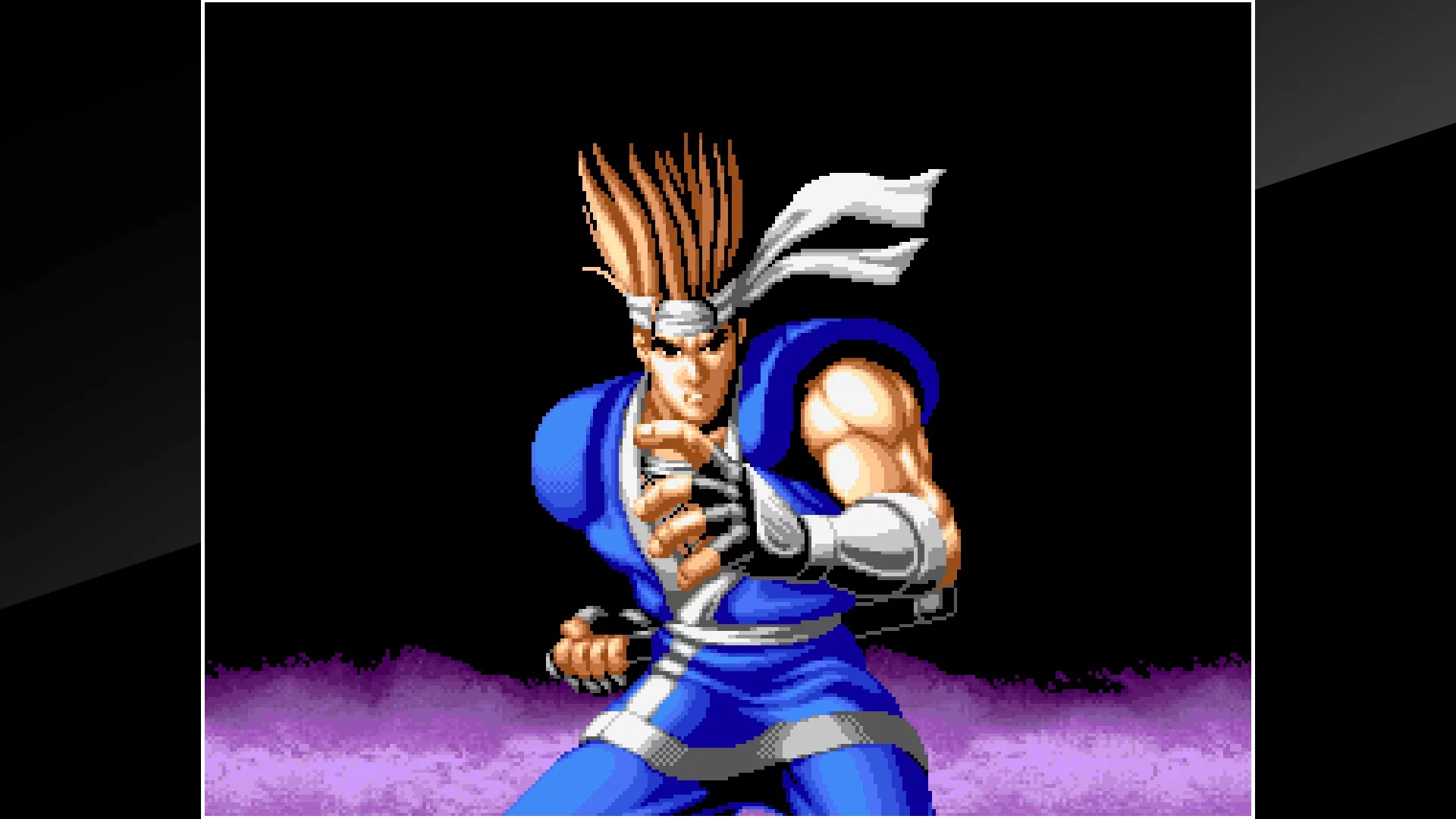 Изображение игры: ACA NEOGEO WORLD HEROES PERFECT