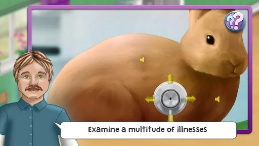 Изображение игры: Dreamjob Veterinarian