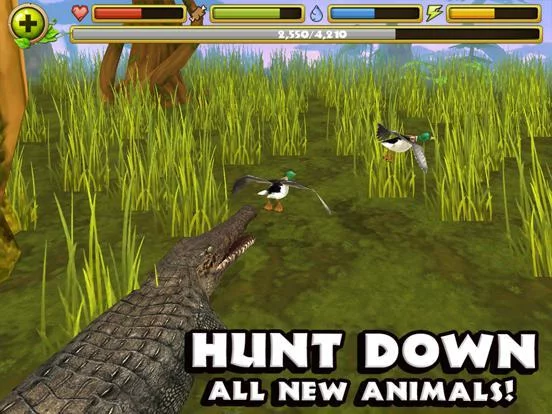 Изображение игры: Wildlife Simulator: Crocodile