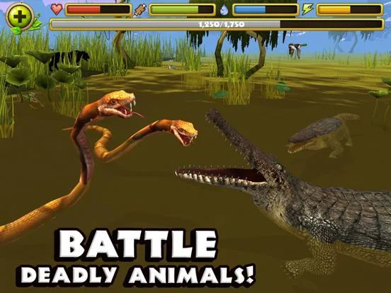 Изображение игры: Wildlife Simulator: Crocodile