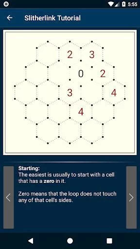 Изображение игры: Slitherlink X