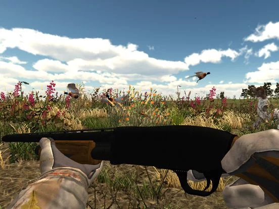 Изображение игры: Hunting USA