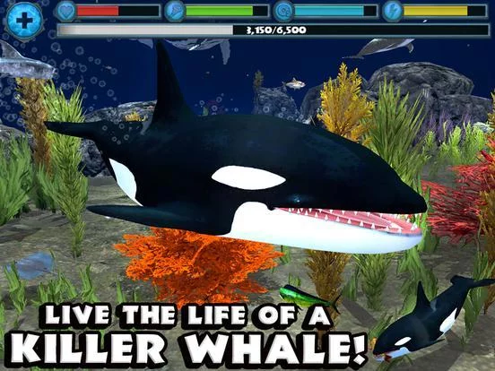 Изображение игры: Orca Simulator