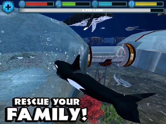 Изображение игры: Orca Simulator