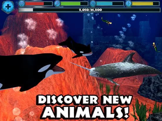 Изображение игры: Orca Simulator