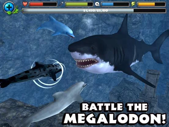 Изображение игры: Dolphin Simulator
