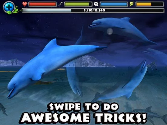 Изображение игры: Dolphin Simulator
