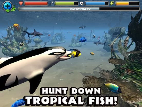 Изображение игры: Dolphin Simulator
