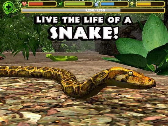 Изображение игры: Snake Simulator
