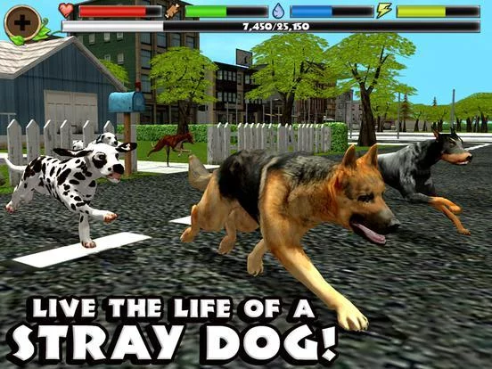 Изображение игры: Stray Dog Simulator