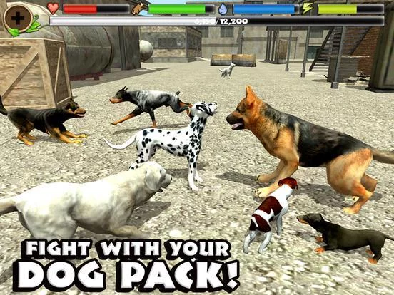 Изображение игры: Stray Dog Simulator