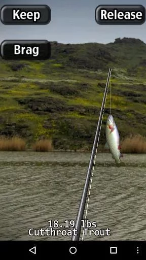Изображение игры: i Fishing Fly Fishing
