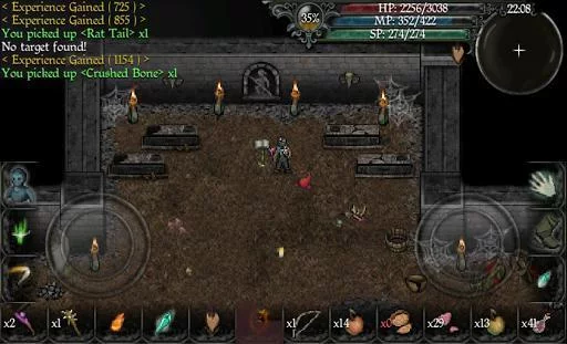 Изображение игры: 9th Dawn II 2 RPG