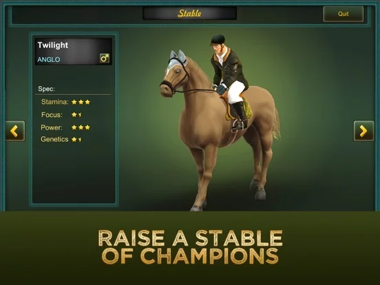 Изображение игры: Jumping Horses Champions 2