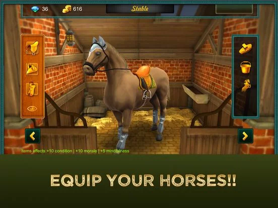 Изображение игры: Jumping Horses Champions 2