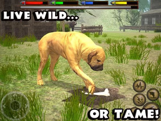 Изображение игры: Ultimate Dog Simulator