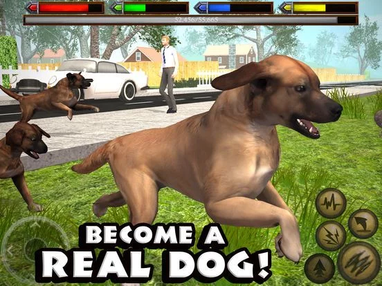 Изображение игры: Ultimate Dog Simulator