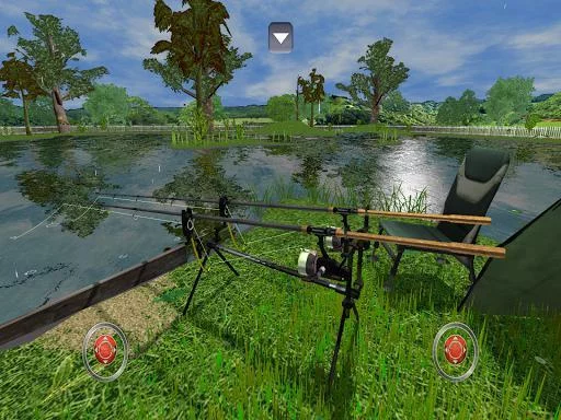 Изображение игры: 3DCARP2