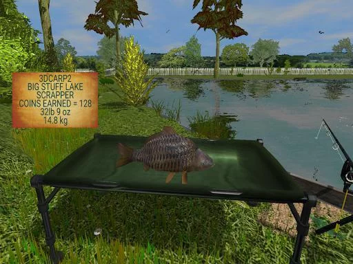 Изображение игры: 3DCARP2