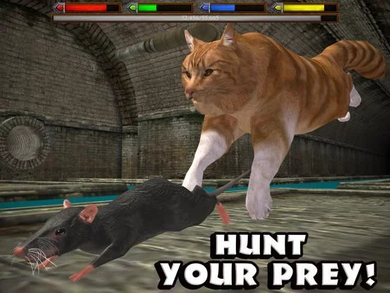 Изображение игры: Ultimate Cat Simulator