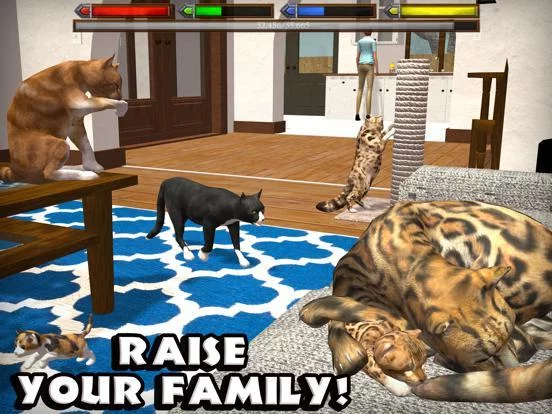 Изображение игры: Ultimate Cat Simulator