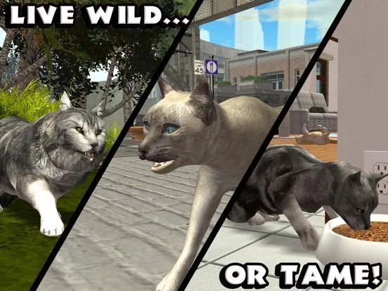 Изображение игры: Ultimate Cat Simulator