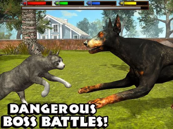 Изображение игры: Ultimate Cat Simulator