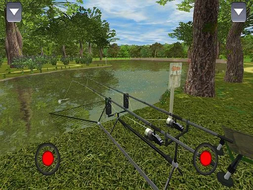 Изображение игры: 3DCARP
