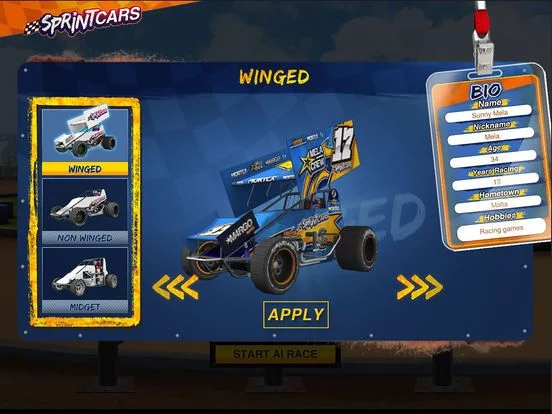 Изображение игры: Dirt Trackin Sprint Cars