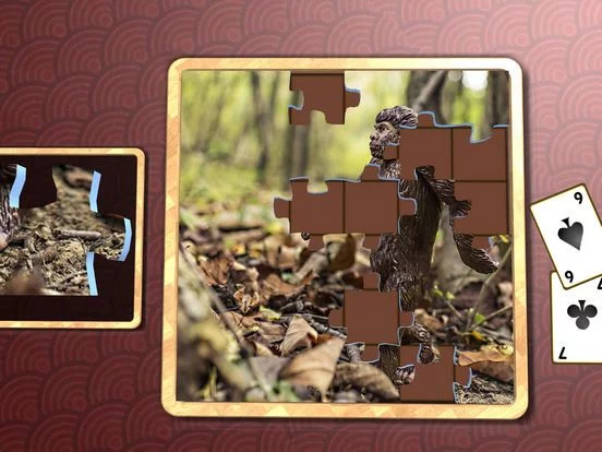 Изображение игры: Jigsaw Solitaire Great Outdoors