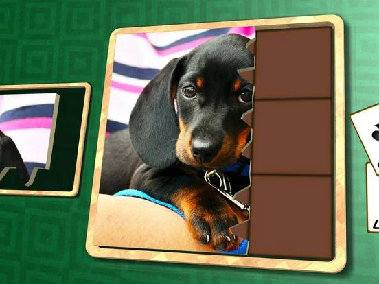 Изображение игры: Jigsaw Solitaire Baby Animals