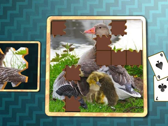 Изображение игры: Jigsaw Solitaire Baby Animals
