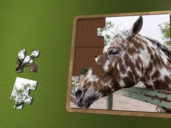 Изображение игры: Super Jigsaws Horses