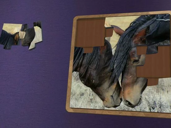 Изображение игры: Super Jigsaws Horses