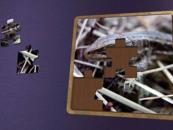 Изображение игры: Super Jigsaws Bugs & Creatures