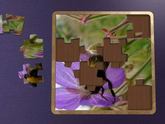Изображение игры: Super Jigsaws Bugs & Creatures