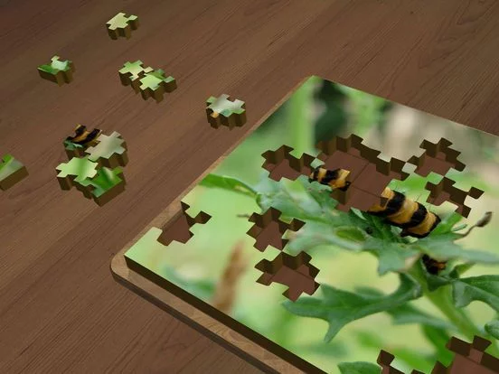 Изображение игры: Super Jigsaws Bugs & Creatures