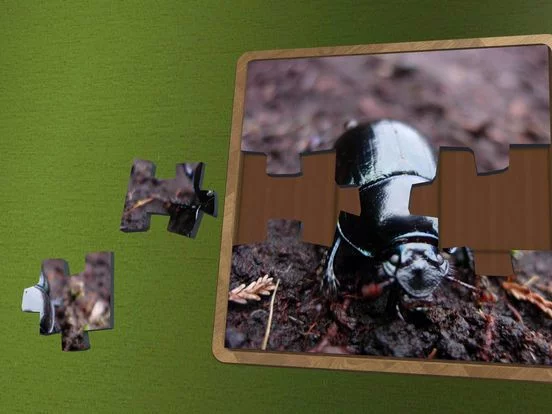 Изображение игры: Super Jigsaws Bugs & Creatures
