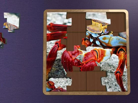 Изображение игры: Super Jigsaws Marine Life