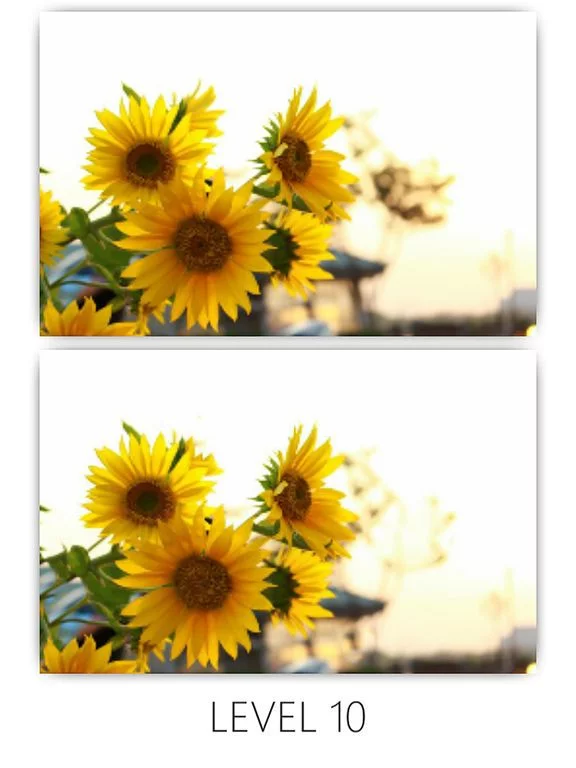 Изображение игры: Find Differences Final